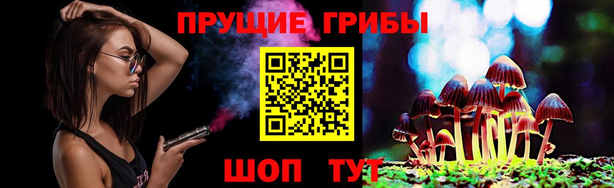 Галлюциногенные грибы Psilocybine cubensis  Вход с VPN  Волгоград 