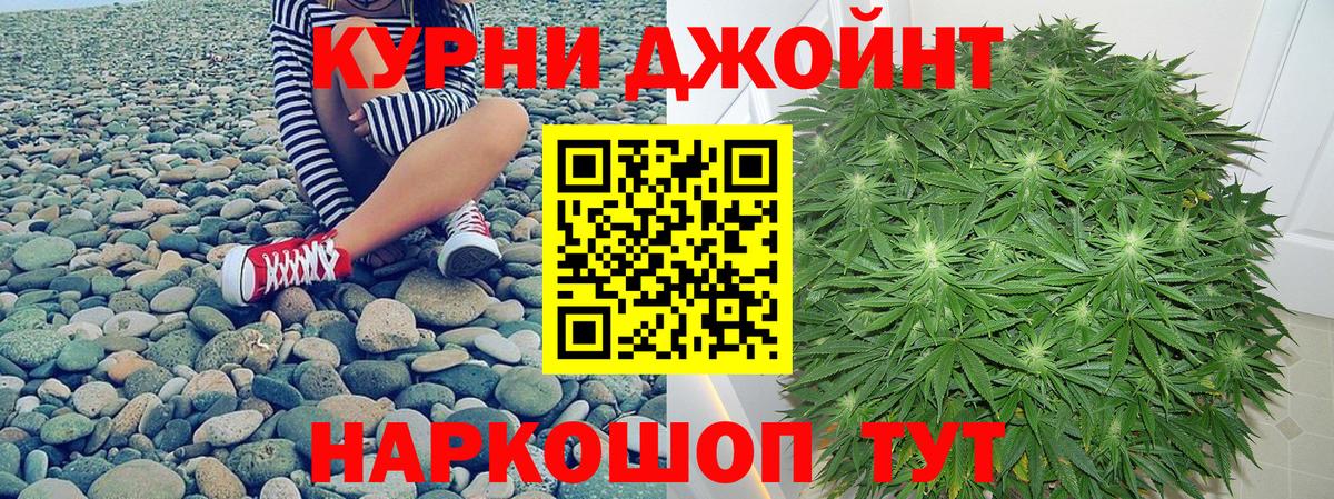 Шишки марихуана сатива Волгоград